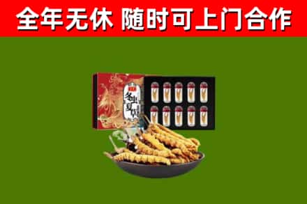 璧山回收冬虫夏草价格